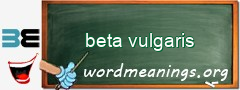 WordMeaning blackboard for beta vulgaris